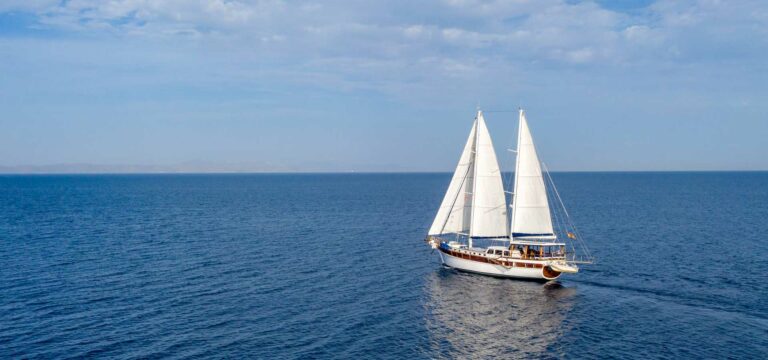 A sailboat moving through calm water on a fair-weather day.